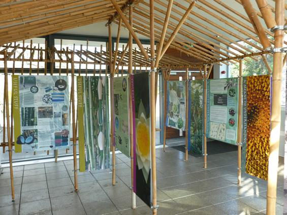 Educational area within the Temperate House, Jephson Gardens, Leamington Spa